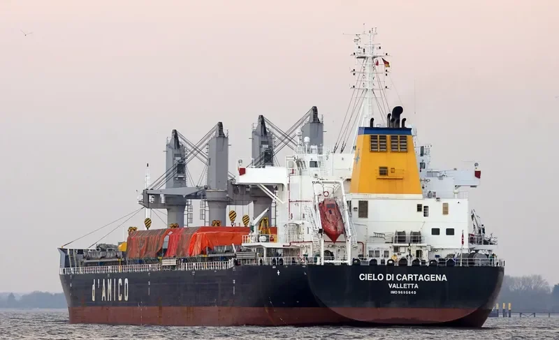 ARCADIA Bulk Carrier IMO 9695640 photo 2