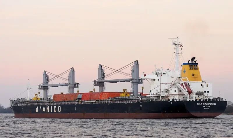 ARCADIA Bulk Carrier IMO 9695640 photo 3