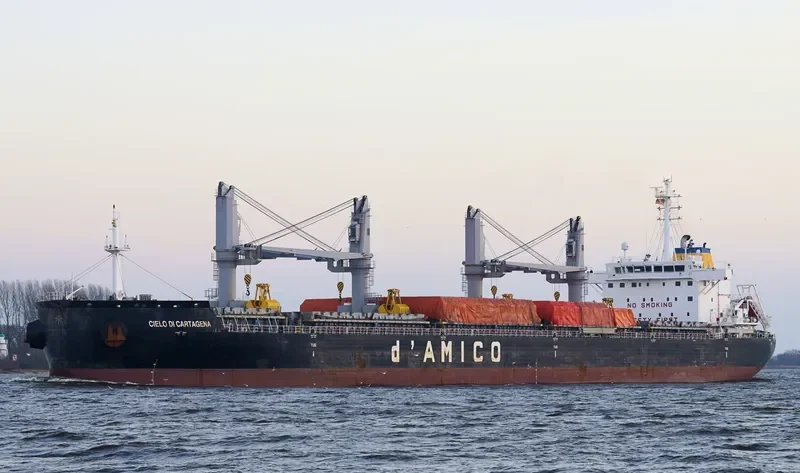 ARCADIA Bulk Carrier IMO 9695640 photo 4