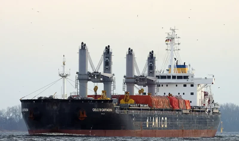 ARCADIA Bulk Carrier IMO 9695640 photo 5