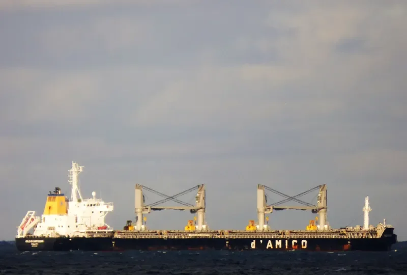ARCADIA Bulk Carrier IMO 9695640 photo 6