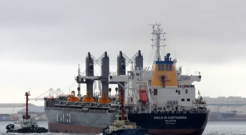 ARCADIA Bulk Carrier IMO 9695640 photo 7