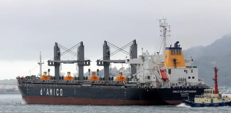 ARCADIA Bulk Carrier IMO 9695640 photo 8
