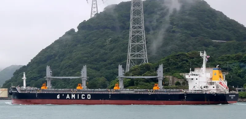ARCADIA Bulk Carrier IMO 9695640 photo 9