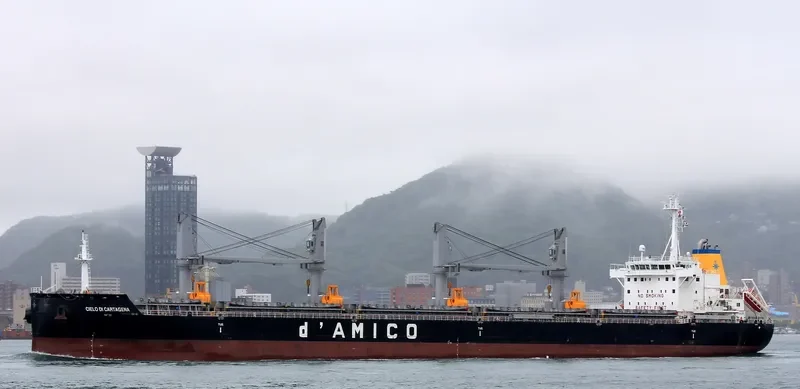 ARCADIA Bulk Carrier IMO 9695640 photo 10