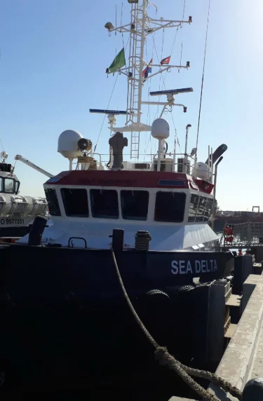 SEA DELTA General Cargo IMO 9695767