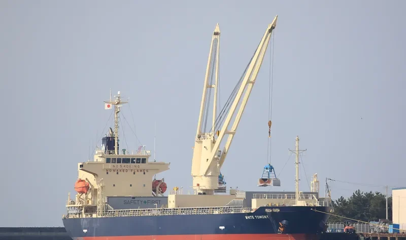 WHITE TOMONY General Cargo IMO 9695810 photo 2