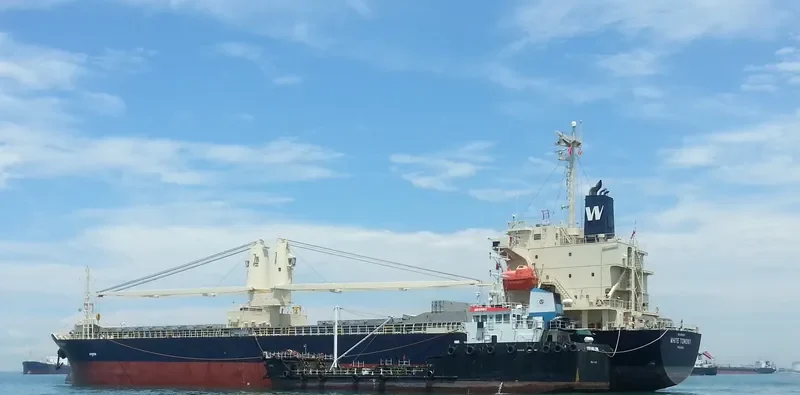 WHITE TOMONY General Cargo IMO 9695810 photo 5