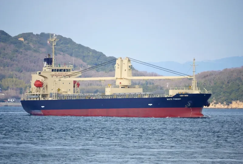 WHITE TOMONY General Cargo IMO 9695810 photo 6