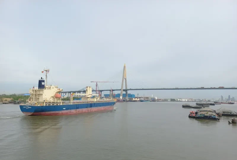 WHITE TOMONY General Cargo IMO 9695810 photo 7