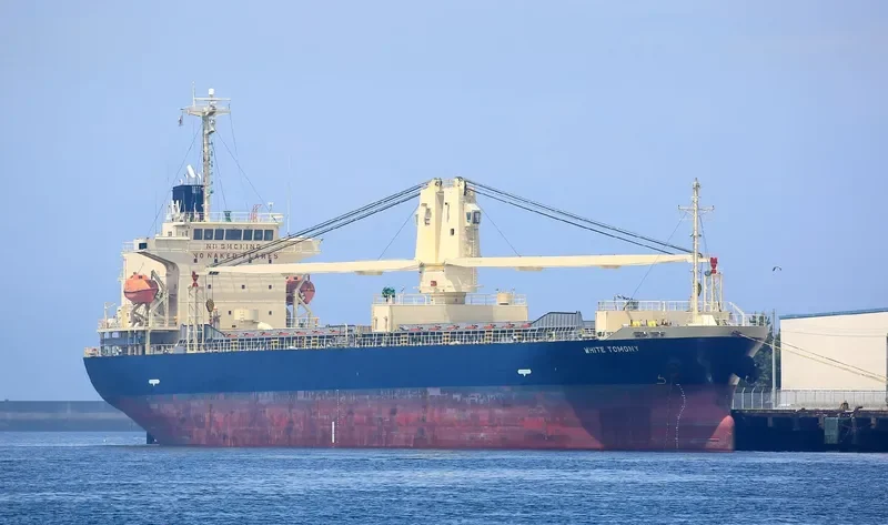 WHITE TOMONY General Cargo IMO 9695810 photo 8