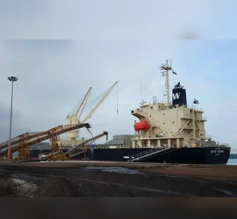 WHITE TOMONY General Cargo IMO 9695810 photo 9