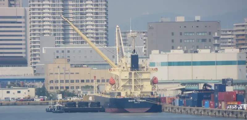 WHITE TOMONY General Cargo IMO 9695810 photo 10