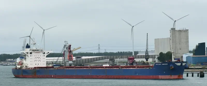 GOLDEN AMREEN Bulk Carrier IMO 9696058