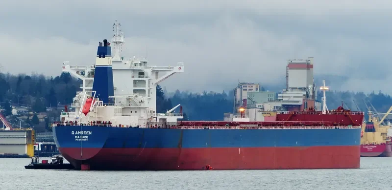 GOLDEN AMREEN Bulk Carrier IMO 9696058 photo 4