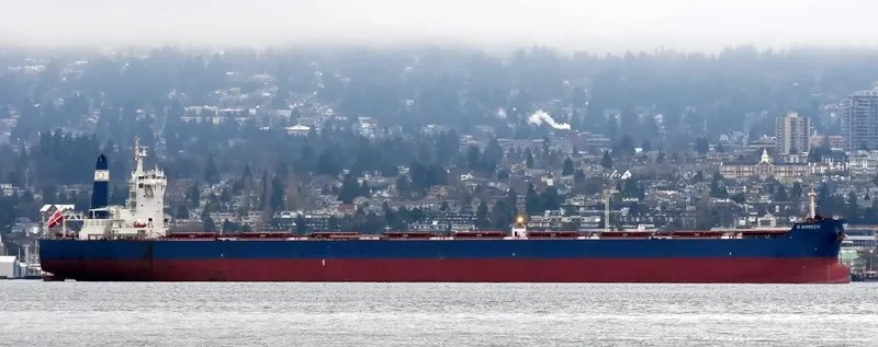 GOLDEN AMREEN Bulk Carrier IMO 9696058 photo 7