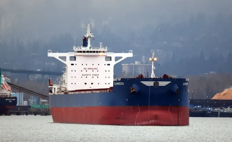 GOLDEN AMREEN Bulk Carrier IMO 9696058 photo 8