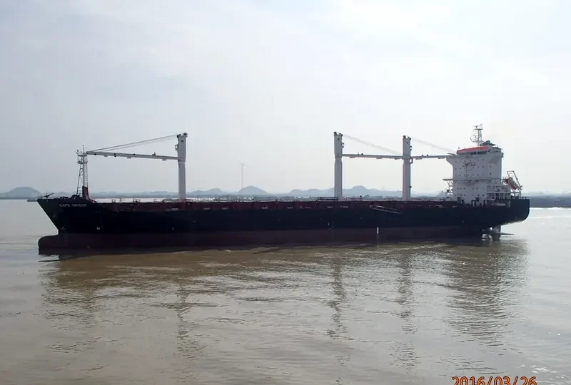 CAPE ORIENT Container Ship IMO 9696072 photo 3