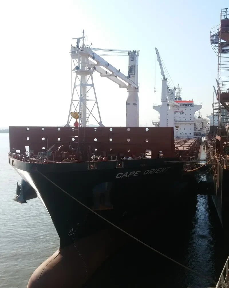 CAPE ORIENT Container Ship IMO 9696072 photo 4