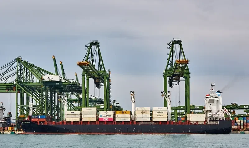CAPE ARAXOS Container Ship IMO 9696084 photo 7