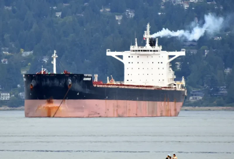 IOANNIS Bulk Carrier IMO 9696096 photo 2