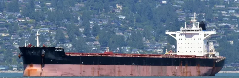 IOANNIS Bulk Carrier IMO 9696096 photo 5