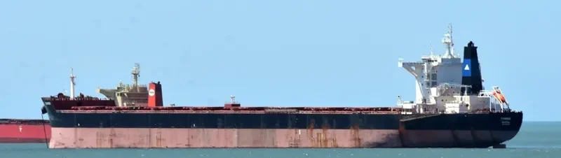 IOANNIS Bulk Carrier IMO 9696096 photo 6