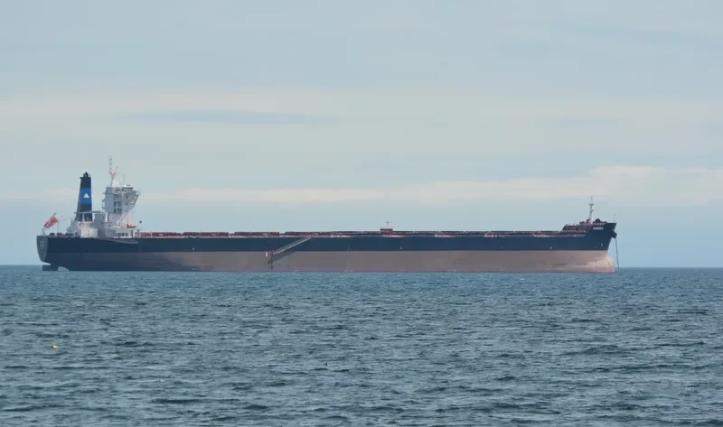 IOANNIS Bulk Carrier IMO 9696096 photo 9