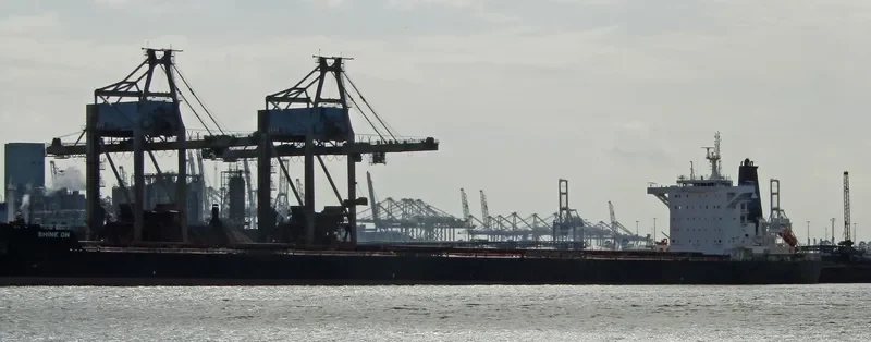 SHINE ON Bulk Carrier IMO 9696101 photo 4