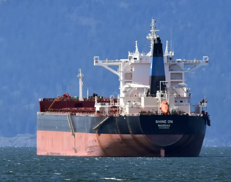SHINE ON Bulk Carrier IMO 9696101 photo 5