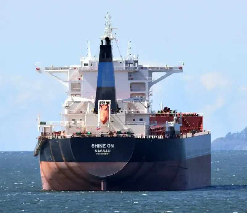 SHINE ON Bulk Carrier IMO 9696101 photo 6