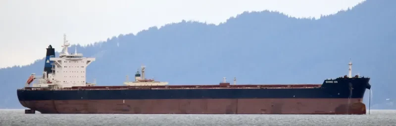 SHINE ON Bulk Carrier IMO 9696101 photo 7