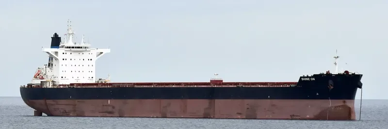 SHINE ON Bulk Carrier IMO 9696101 photo 9