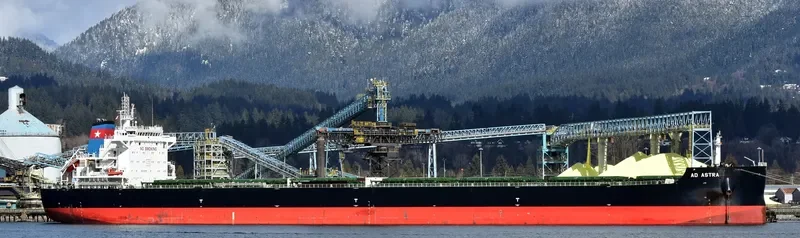 AD ASTRA Bulk Carrier IMO 9696400