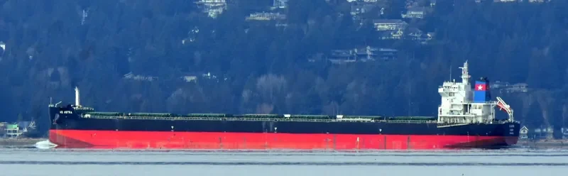 AD ASTRA Bulk Carrier IMO 9696400 photo 2