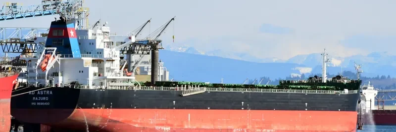 AD ASTRA Bulk Carrier IMO 9696400 photo 3