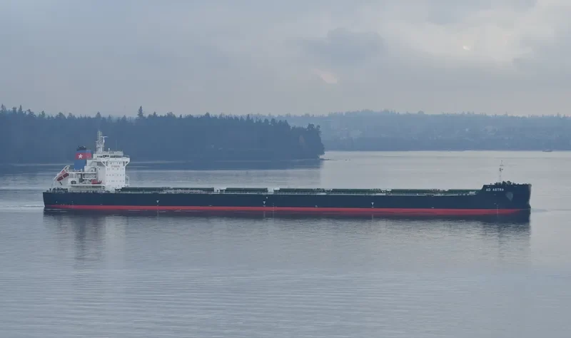 AD ASTRA Bulk Carrier IMO 9696400 photo 4