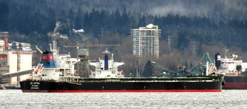 AD ASTRA Bulk Carrier IMO 9696400 photo 5