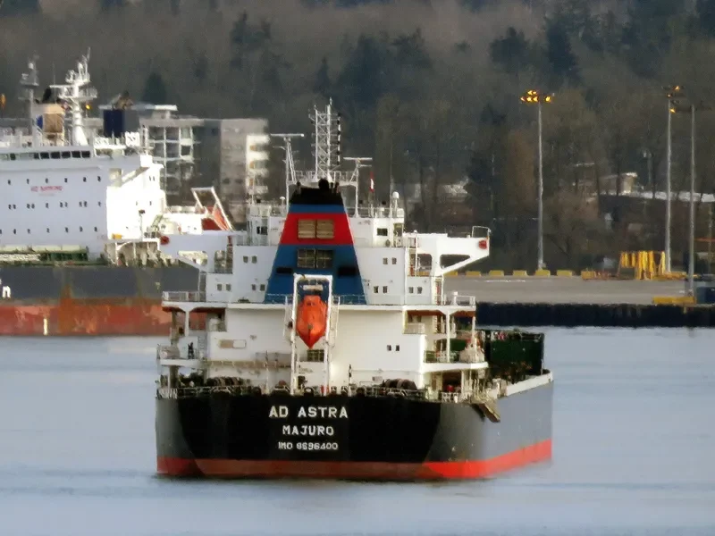 AD ASTRA Bulk Carrier IMO 9696400 photo 7