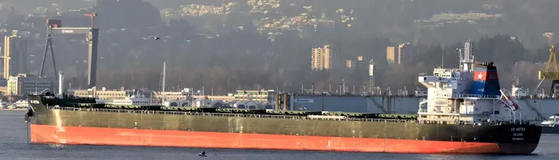 AD ASTRA Bulk Carrier IMO 9696400 photo 8