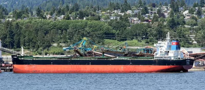 ANTARES Bulk Carrier IMO 9696412 photo 6