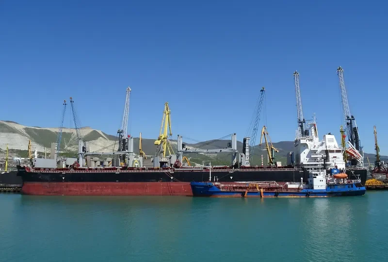 MENELAOS Bulk Carrier IMO 9696436