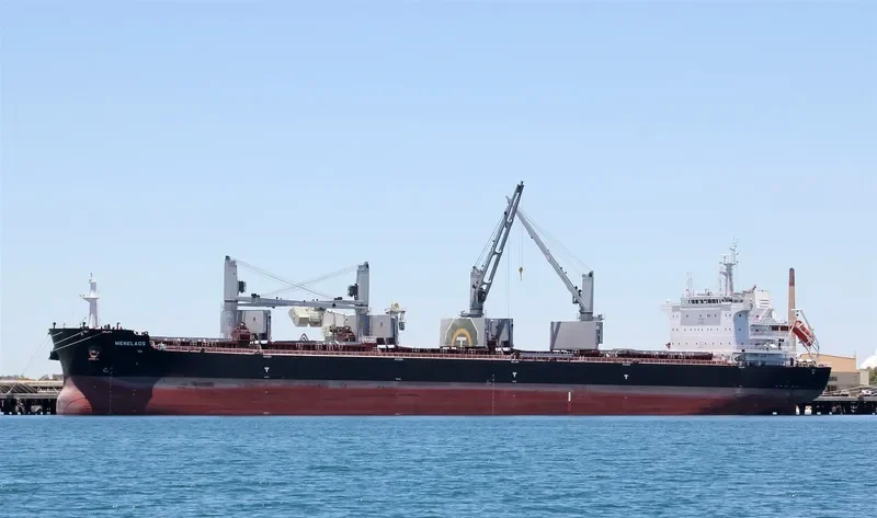 MENELAOS Bulk Carrier IMO 9696436 photo 7