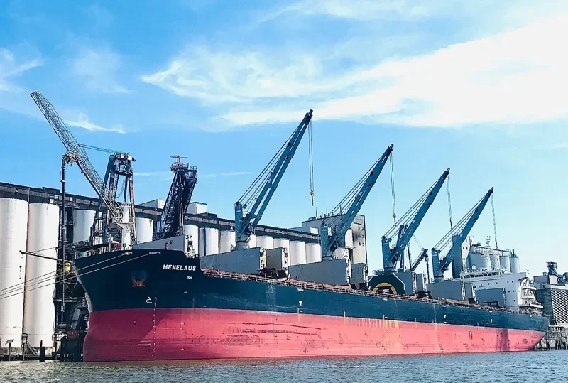 MENELAOS Bulk Carrier IMO 9696436 photo 9