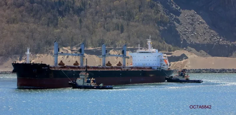 IOLAOS Bulk Carrier IMO 9696450 photo 2