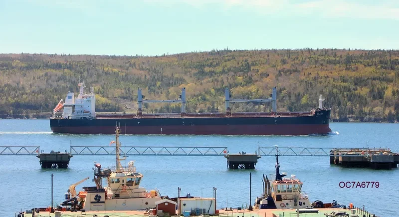 IOLAOS Bulk Carrier IMO 9696450 photo 3