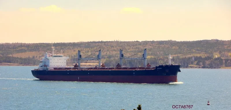IOLAOS Bulk Carrier IMO 9696450 photo 4