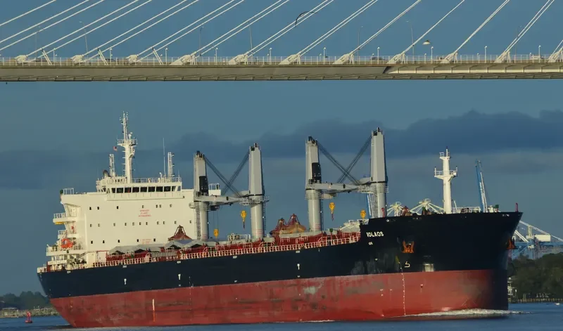 IOLAOS Bulk Carrier IMO 9696450 photo 5