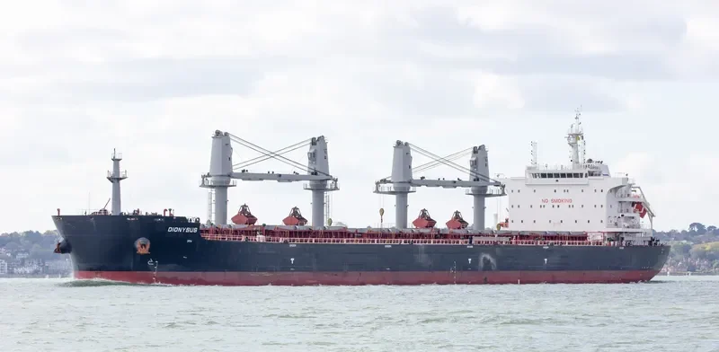 DIONYSUS Bulk Carrier IMO 9696515