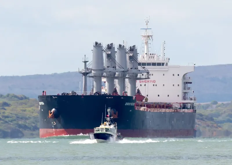 DIONYSUS Bulk Carrier IMO 9696515 photo 2